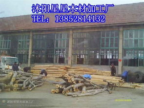 匠心獨(dú)運(yùn) 沭陽(yáng)星星木材加工廠的楊木板材與木制品